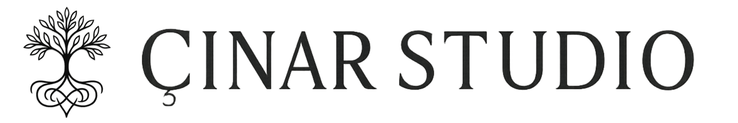 &Ccedil;ınar Studio